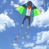 Colorful Carbon Steel Swallow Style Flying Kite Outdoor Sports Game