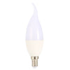 Rayyou E14 AC 220V 2.5W 110LM SMD 2835 LED Candle Light Bulb