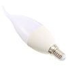 Rayyou E14 AC 220V 2.5W 110LM SMD 2835 LED Candle Light Bulb