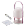 LS - 8911 USB Powered DC 5V 2.5W 200LM Fashion Style LED Desk Lamp Outdoor Waterproof Camping Lantern