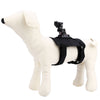 CA37 Universal Accessory Adjustable Dog Back Strap Belt for Action Camera