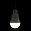 KKBOL S - 1500 1.5W 5V 140LM LED Light Bulb Portable Solar powered Lamp