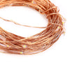 HQYG - 05 30CM 100 LEDs Copper String Light with Remote Controller