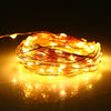HQYG - 05 30CM 100 LEDs Copper String Light with Remote Controller