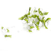 5M Fishing Line Pearls Rose Flower Wedding Party Decorative Crafts