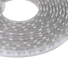 AC 220V 1000LM 5M 300 LEDs Strip Light Waterproof Lamp