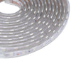 AC 220V 1000LM 5M 300 LEDs Strip Light Waterproof Lamp