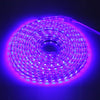 AC 220V 1000LM 5M 300 LEDs Strip Light Waterproof Lamp