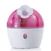 Professional Cool Mist Moisturizing Cleaning Pores Clear Blackheads Acne Facial Steamer