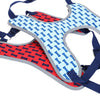 Royal Wise R Dog LED Lights Illuminating Adjustable Collar Harness Leash for Training Walking Running