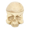 Crazy Hard Resin 7 Holes Tattoo Skull Head Holder Stand for Inks Pigment