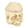 Crazy Hard Resin 7 Holes Tattoo Skull Head Holder Stand for Inks Pigment