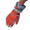 WILD SNOW Paired Outdoor Warm Windproof Skiing Gloves