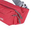 AONIJIE Water Resistant Running Waist Bag Zippered Pack