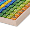 YOULEBI Multiplication Table Educational Toy 10 x 10 Figure Blocks for Child