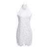 Sexy Stand Collar Lace Spliced Crochet Women Dress