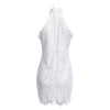 Sexy Stand Collar Lace Spliced Crochet Women Dress