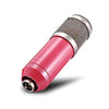 LEIHAO BM - 800 Professional Condenser Microphone