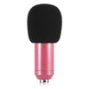 LEIHAO BM - 800 Professional Condenser Microphone
