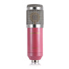 LEIHAO BM - 800 Professional Condenser Microphone