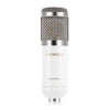 LEIHAO BM - 800 Professional Condenser Microphone