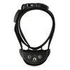 PaiPaitek PD 258 No Bark Dog Collar ( Upgraded )