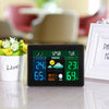 TS - 71 Digital Weather Station Temperature with 2 Sensor