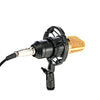 LEIHAO BM - 700 Condenser Studio Sound Recording Microphone
