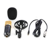 LEIHAO BM - 700 Condenser Studio Sound Recording Microphone