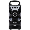 MS-208BT FM Radio Wireless Bluetooth Portable Speaker