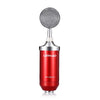 LEIHAO BM - 8000 Professional Condenser Microphone