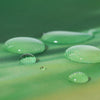 180 x 180cm Zen Water Bamboo 3D Printed Shower Curtain