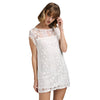 Fresh Style Round Collar Sleeveless Pure Color Lace Dress for Women