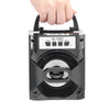 MS - 309BT Bluetooth Portable Speaker