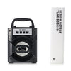 MS - 309BT Bluetooth Portable Speaker