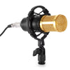 LEIHAO BM - 800 Professional Condenser Microphone