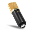 LEIHAO BM - 700 Professional Condenser Microphone