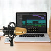 LEIHAO BM - 700 Professional Condenser Microphone