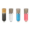 LEIHAO BM - 700 Professional Condenser Microphone