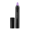 Long Lasting Pencil Shape Lipstick Cosmetic Tool