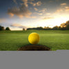 Dominant 20pcs Golf Training PU Foamed Practice Ball