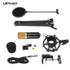 LEIHAO BM - 700 Professional Condenser Microphone