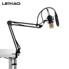 LEIHAO BM - 700 Professional Condenser Microphone