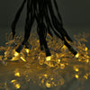 Solar Powered Waterproof 20 LEDs Fawn String Light