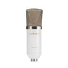 LEIHAO BM - 700 Professional Condenser Microphone Kit