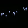 SS - 25 Solar Powered Waterproof 30 LEDs Cute Ghost String Lamp