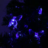 VCT - SLC - 033 20 LEDs Butterfly Solar String Light