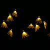 VCT - SLC - 039 20 LEDs Four-leaf Flower Solar String Light