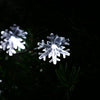 VCT - SLC - 037 20 LEDs Snowflake Solar String Light