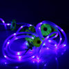 Solar Powered 100-LED Hollow Tube Copper Wire String Light